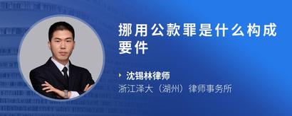 挪用公款罪是什么构成要件