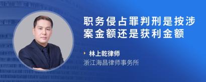 职务侵占罪判刑是按涉案金额还是获利金额