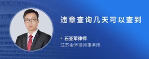 违章查询几天可以查到