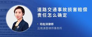 道路交通事故损害赔偿责任怎么确定