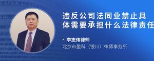 违反公司法同业禁止具体需要承担什么法律责任
