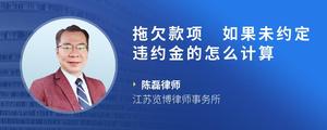 拖欠款项 如果未约定违约金的怎么计算