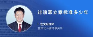 诽谤罪立案标准多少年