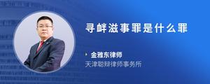 寻衅滋事罪是什么罪