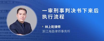 一审刑事判决书下来后执行流程