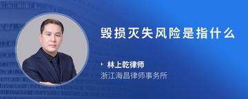 毁损灭失风险是指什么