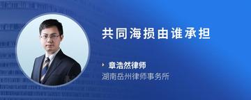 共同海损由谁承担