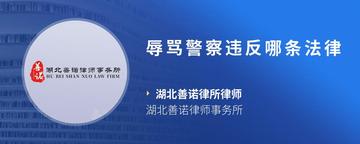 辱骂警察违反哪条法律