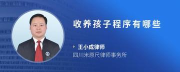 收养孩子程序有哪些