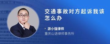 交通事故对方起诉我该怎么办