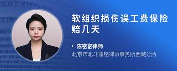 软组织损伤误工费保险赔几天