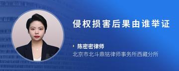 侵权损害后果由谁举证