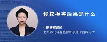 侵权损害后果是什么