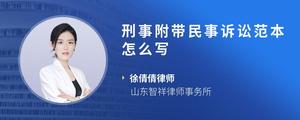 刑事附带民事诉讼范本怎么写
