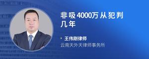 非吸4000万从犯判几年?