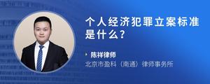 个人经济犯罪立案标准是什么？