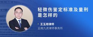 轻微伤鉴定标准及量刑是怎样的