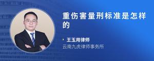 重伤害量刑标准是怎样的