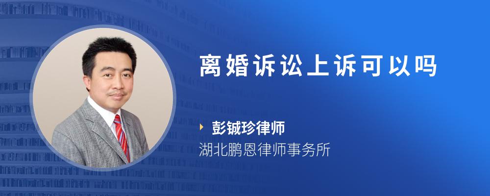离婚诉讼上诉可以吗
