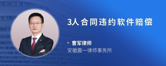 3人合同违约软件赔偿