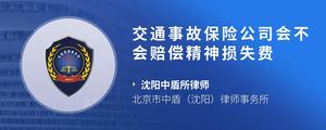 交通事故保险公司会不会赔偿精神损失费?