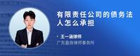 有限责任公司的债务法人怎么承担
