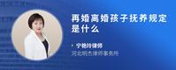 再婚离婚孩子抚养规定是什么
