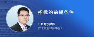 招标的前提条件