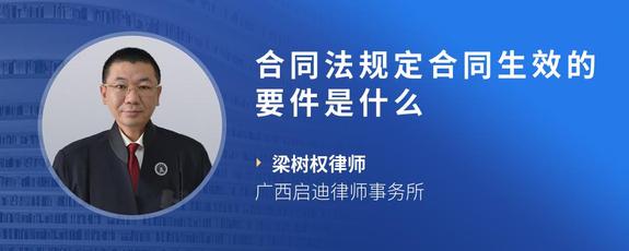 合同法规定合同生效的要件是什么