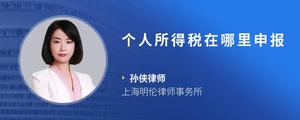个人所得税在哪里申报