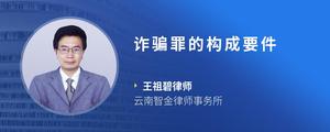 诈骗罪的构成要件
