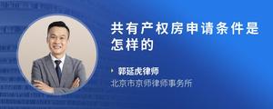 共有产权房申请条件是怎样的