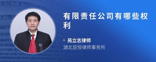 有限责任公司有哪些权利