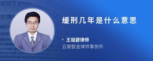 缓刑几年是什么意思