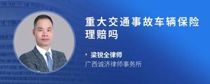重大交通事故车辆保险理赔吗
