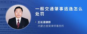 一般交通肇事逃逸怎么处罚