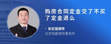 购房合同定金交了不买了定金退么
