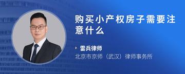 购买小产权房子需要注意什么