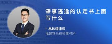 肇事逃逸的认定书上面写什么