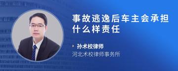 事故逃逸后车主会承担什么样责任