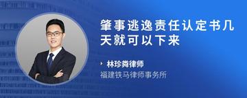 肇事逃逸责任认定书几天就可以下来