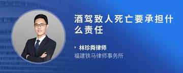 酒驾致人死亡要承担什么责任