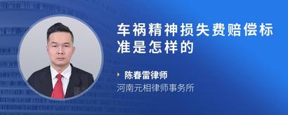 车祸精神损失费赔偿标准是怎样的
