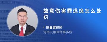 故意伤害罪逃逸怎么处罚