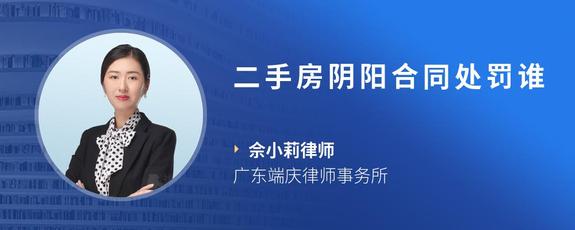 二手房阴阳合同处罚谁