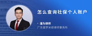 怎么查询社保个人账户