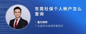 东莞社保个人帐户怎么查询