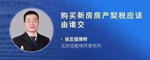 购买新房房产契税应该由谁交