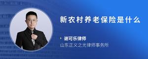 新农村养老保险是什么