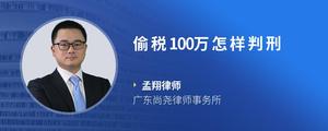 偷税100万怎样判刑?